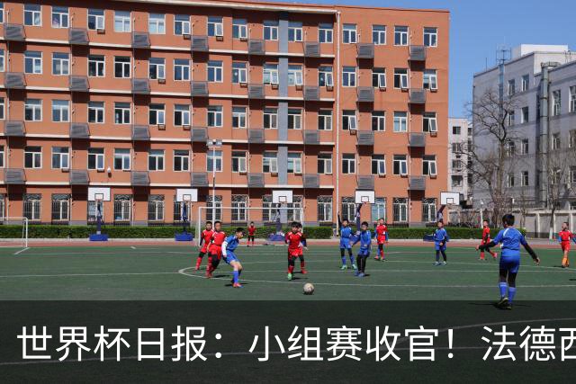 世界杯日报：小组赛收官！法德西荷葡半区绞杀+韩国伊朗出局