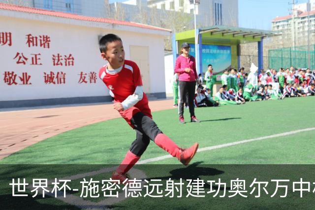 世界杯-施密德远射建功奥尔万中框 半场奥地利1-0约旦