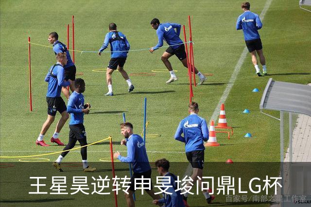 王星昊逆转申旻埈问鼎LG杯