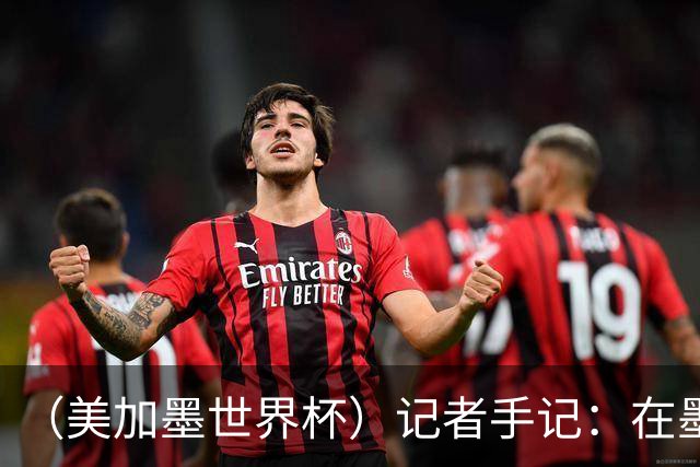 （美加墨世界杯）记者手记：在墨西哥城，足球是一场庆典